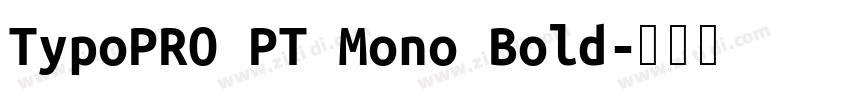 TypoPRO PT Mono Bold字体转换